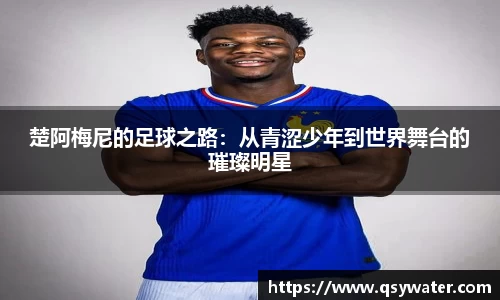 zoty中欧官方网站