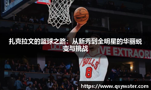 zoty中欧官方网站