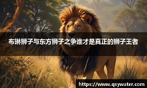 zoty中欧官网