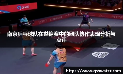 南京乒乓球队在世锦赛中的团队协作表现分析与点评