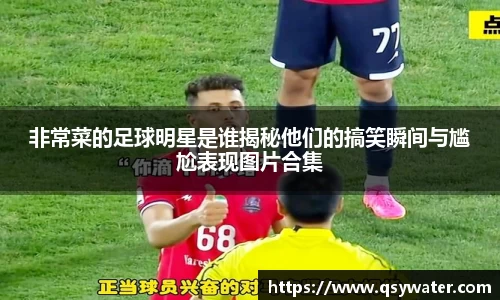 zoty中欧官方网站